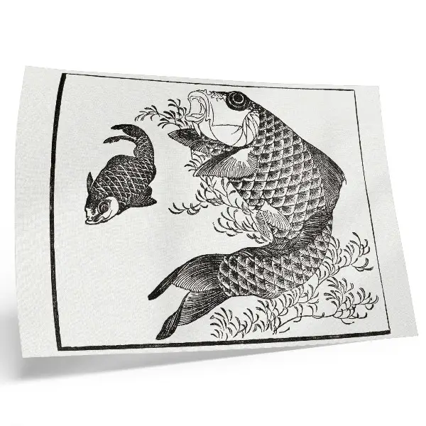 Poster A Carpa de Hokusai ilustração japonesa de um animal para sala