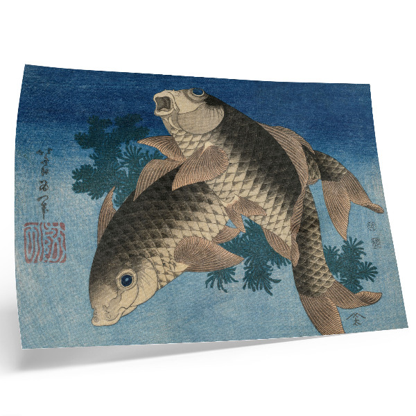 Poster mural Carpa Nadando Entre as Algas Marinhas (1831) – Ilustração japonesa de um peixe