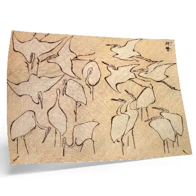 Poster obra Garças de Katsushika Hokusai, de Lições Rápidas de Desenho Simplificado de 1823