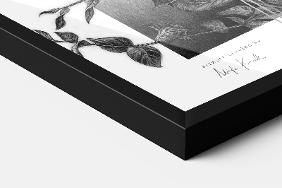 Branca Moldura Para Pendurar 40x60 cm