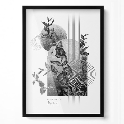 Branca Moldura Para Quadros 50x70 cm