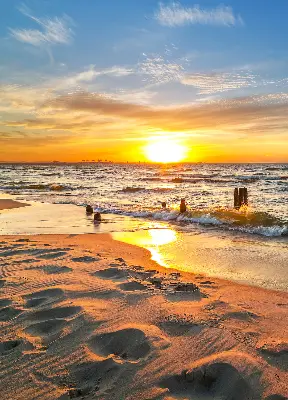 Estores de rolo em tecido Pôr do sol e cores