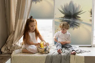 Estores de rolo para janela Lírios de água