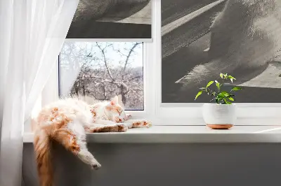 Estores de rolo interiores para janela Gatos na janela