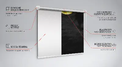 Estores de rolo interiores para janela Olhos de gato