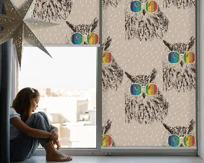 Estores de rolo para porta de varanda Corujas com óculos coloridos