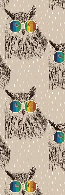 Estores de rolo para porta de varanda Corujas com óculos coloridos