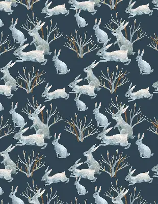 Estores de rolo interiores para janela Coelhos e gravetos