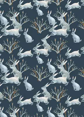 Estores de rolo interiores para janela Coelhos e gravetos