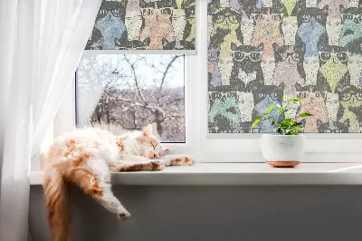 Estores de rolo em tecido Gatos