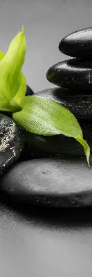 Estores de rolo interiores Orquídea sobre as pedras