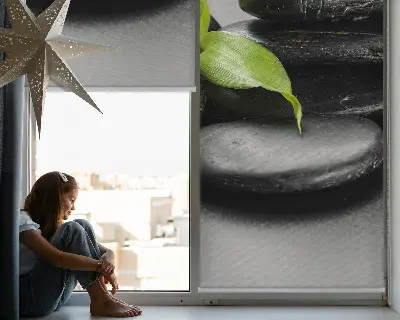 Estores de rolo interiores Orquídea sobre as pedras