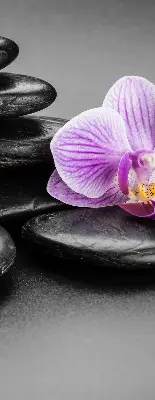 Estores de rolo interiores Orquídea sobre as pedras