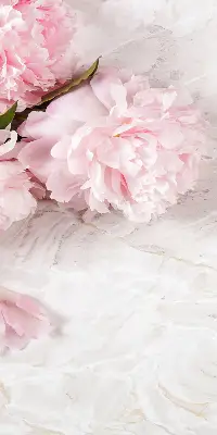 Estores de rolo para porta de varanda Flores