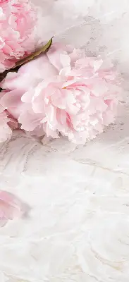 Estores de rolo para porta de varanda Flores