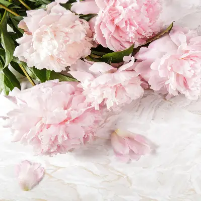 Estores de rolo para porta de varanda Flores