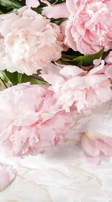 Estores de rolo para porta de varanda Flores