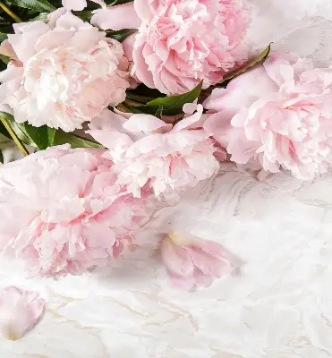 Estores de rolo para porta de varanda Flores