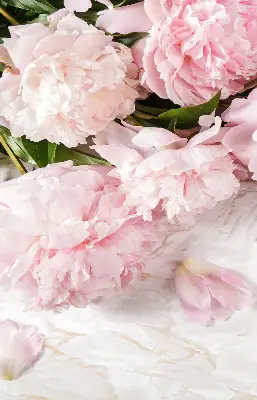Estores de rolo para porta de varanda Flores