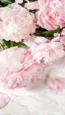 Estores de rolo para porta de varanda Flores