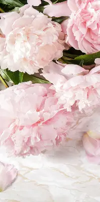 Estores de rolo para porta de varanda Flores