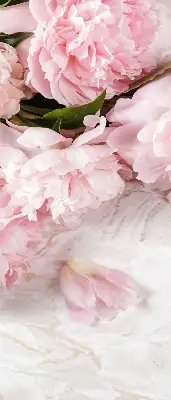 Estores de rolo para porta de varanda Flores