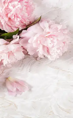 Estores de rolo para porta de varanda Flores