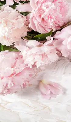 Estores de rolo para porta de varanda Flores