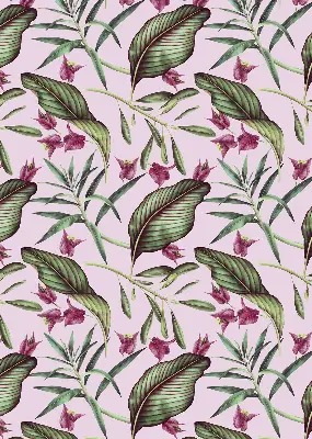 Estores de rolo interiores para janela Folhas tropicais