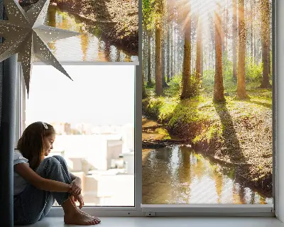 Estores de rolo interiores para janela O sol brilhando através das árvores