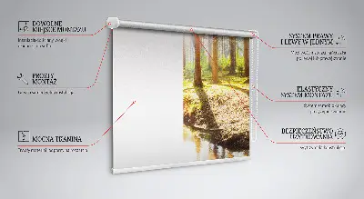 Estores de rolo interiores para janela O sol brilhando através das árvores