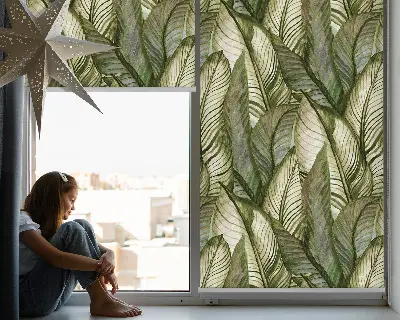 Estores de rolo interiores Folhas