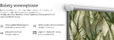 Estores de rolo interiores Folhas
