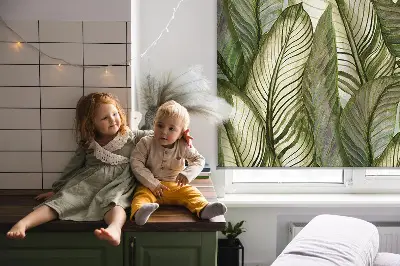 Estores de rolo interiores Folhas