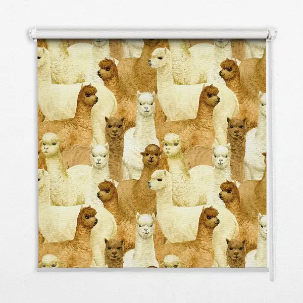 Estores de rolo interiores para janela Um rebanho de alpacas