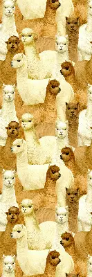 Estores de rolo interiores para janela Um rebanho de alpacas