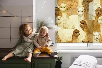 Estores de rolo interiores para janela Um rebanho de alpacas