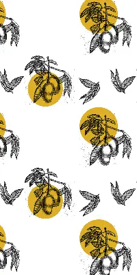 Estores de rolo interiores Frutas e círculos amarelos