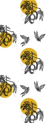 Estores de rolo interiores Frutas e círculos amarelos