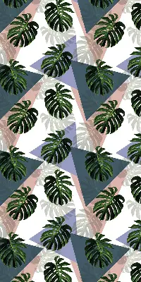 Estores de rolo interiores para janela As folhas da planta