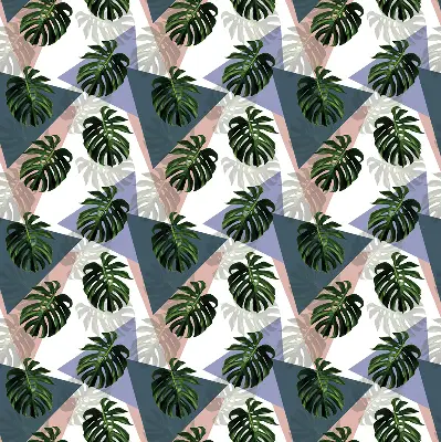 Estores de rolo interiores para janela As folhas da planta