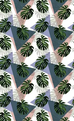 Estores de rolo interiores para janela As folhas da planta