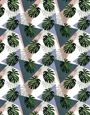 Estores de rolo interiores para janela As folhas da planta