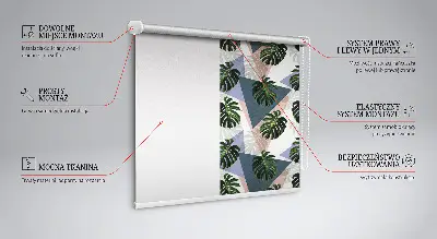 Estores de rolo interiores para janela As folhas da planta