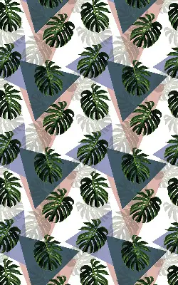 Estores de rolo interiores para janela As folhas da planta
