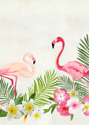 Estores de rolo em tecido Flamingos junto às folhas