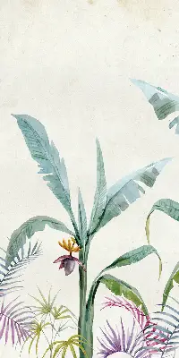 Estores de rolo interiores para janela Natureza exótica