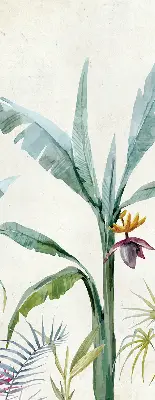 Estores de rolo interiores para janela Natureza exótica