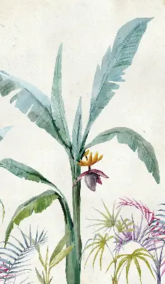 Estores de rolo interiores para janela Natureza exótica