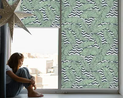 Estores de rolo interiores para janela Folhas de palmeira em fundo preto e branco